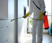 Thriving Building Services Company in Brisbane image 3