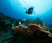 Professional Scuba Retailer image 2