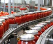 Thriving Food Manufacturing and Distribution Business for Sale  Brisbane image 3