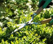 Commercial Strata Cleaning  3 Days Per Week, Long-Term Clients image 3