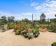 Vendors terms. Busy Hardware & Garden centre. image 7