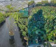 Whole Business at Equipment Price Only! image 6