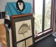 GREAT PICTURE FRAMING BUSINESS IN THE GYMPIE REGION image 4