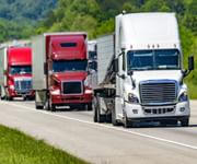 Established Transport Business - Ready to Go! image 2