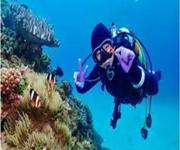 Professional Scuba Retailer image 2