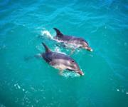 Boat Cruise business for sale. A great lifestyle. image 3