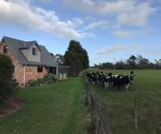 HOLIDAY COTTAGES, COASTAL, MOTEL image 5