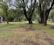 Caravan Park, General Store and Fuel. image 7