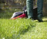 Long-Established Lawn/Garden Business: HIGH INCOME! WORK FROM ANYWHERE! image 3