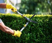 Long-Established Lawn/Garden Business: HIGH INCOME! WORK FROM ANYWHERE! image 4