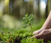 Long-Established Lawn/Garden Business: HIGH INCOME! WORK FROM ANYWHERE! image 5