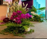 Established Florist And Landscaping Business In Central Area For Sale 新加坡市中心成熟花店和园艺业务出售 image 2