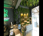 普吉岛邦涛高端成熟咖啡店整体转让｜知名品牌｜可直接接手经营 image 9