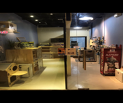 Established Cat Grooming & Boarding Business For Takeover image 4