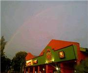 Irish Harp Restaurant image 2